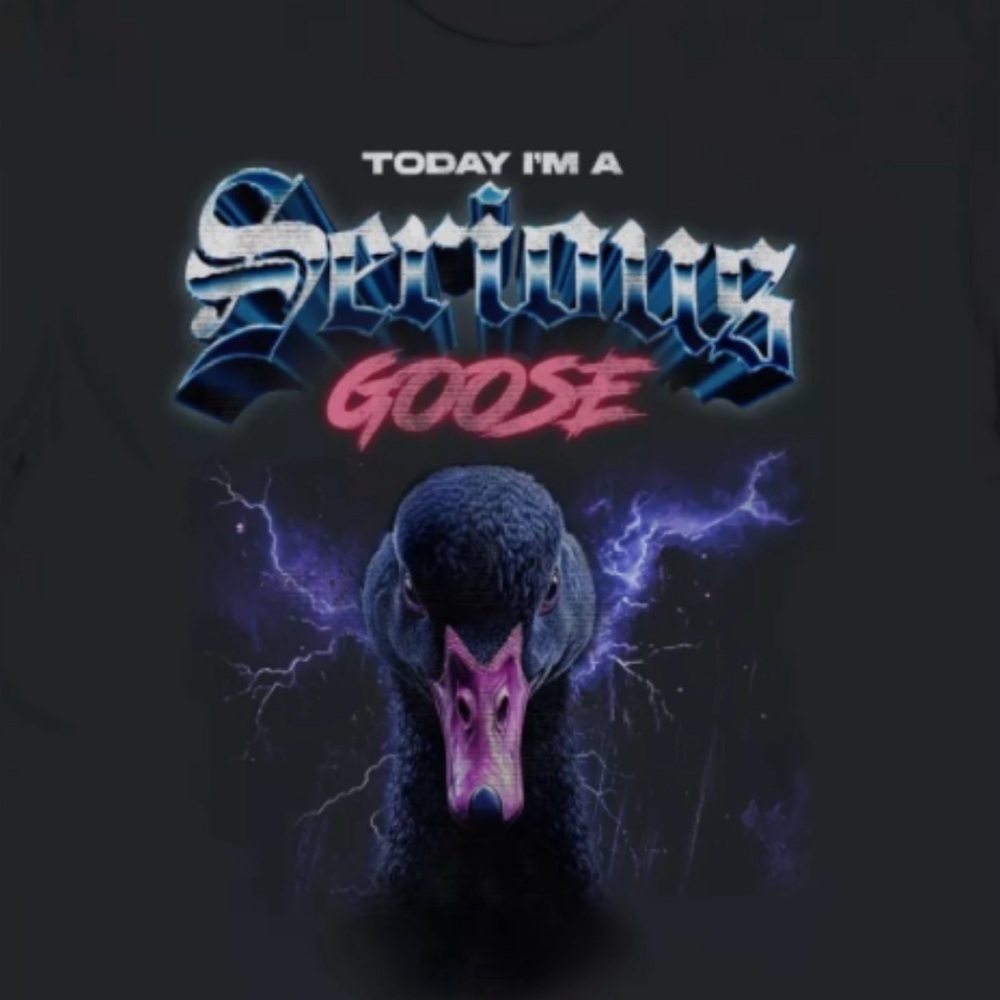 Today I’m a Serious Goose Graphic T-Shirt Black Unisex Size M